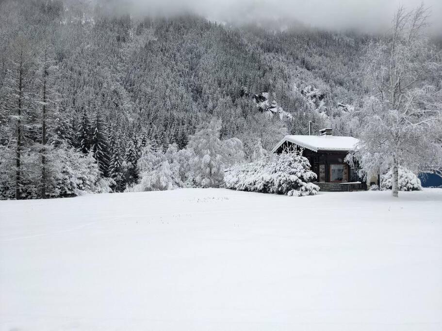Chalet L'Ilet Ensoleille /Sunny Island Chalet Σαμονί Εξωτερικό φωτογραφία